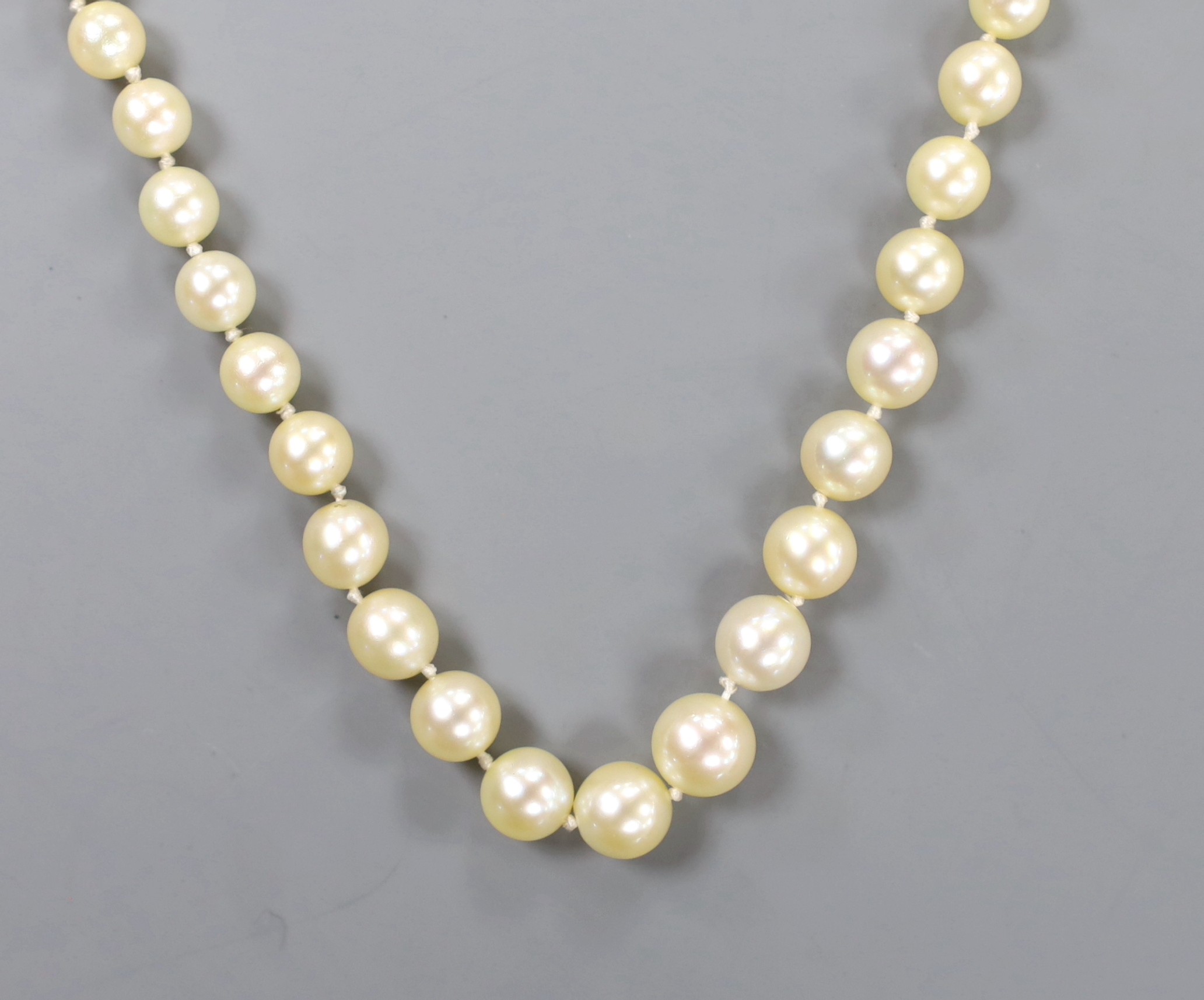 A single strand graduated cultured pearl necklace, with rose cut diamond set yellow metal clasp, 52cm.